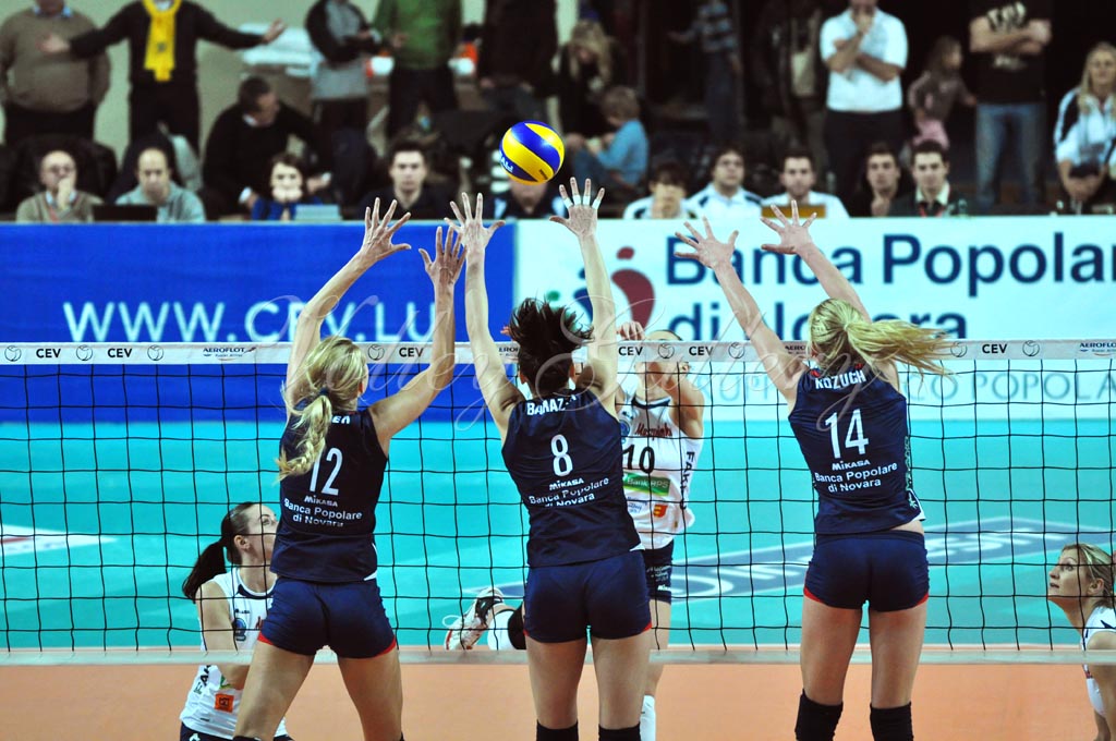 Asystel NO Muszynianka (51)